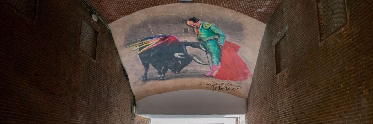 ACT Chenel y Oro's banner