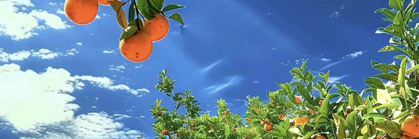 欲求不满的妻子's banner