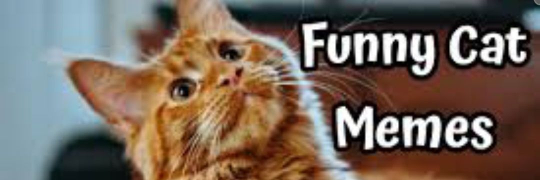 Kat Baker (but sneaky)'s banner
