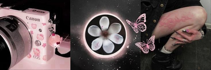 cami's banner