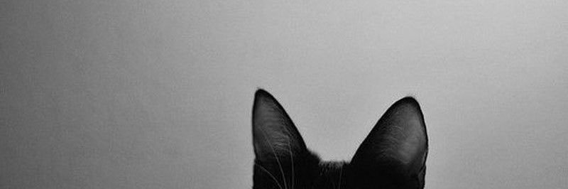 888's banner