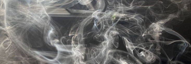 francie 𓈒 ˚ ⋆'s banner