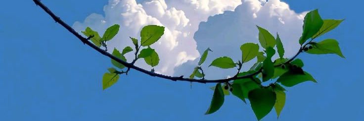 妤秋's banner