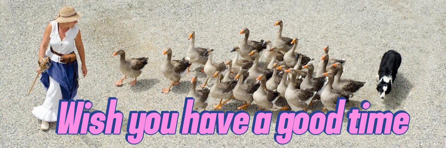 Mr.DUCK's banner