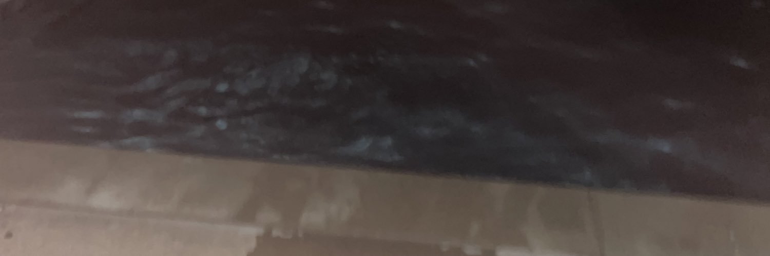 holly's banner