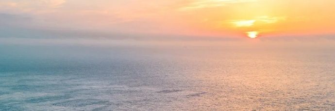 夏天(❤️)'s banner