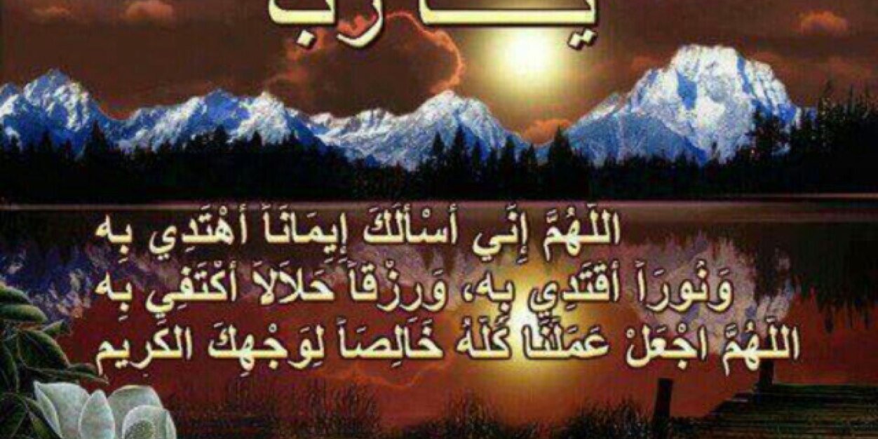 ابوناصر 🇸🇦🇸🇦's banner