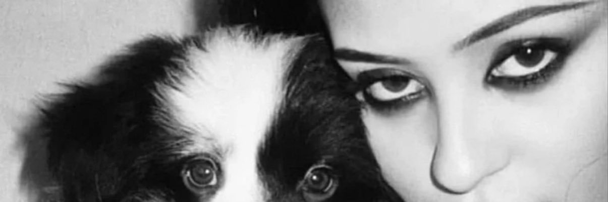 sue's banner