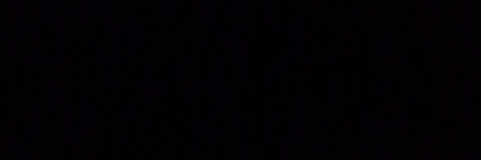 Rajor's banner