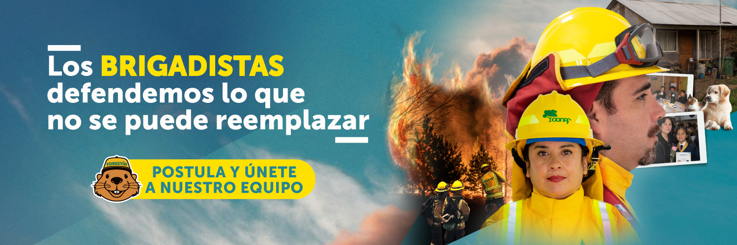 CONAF - Corporación Nacional Forestal's banner
