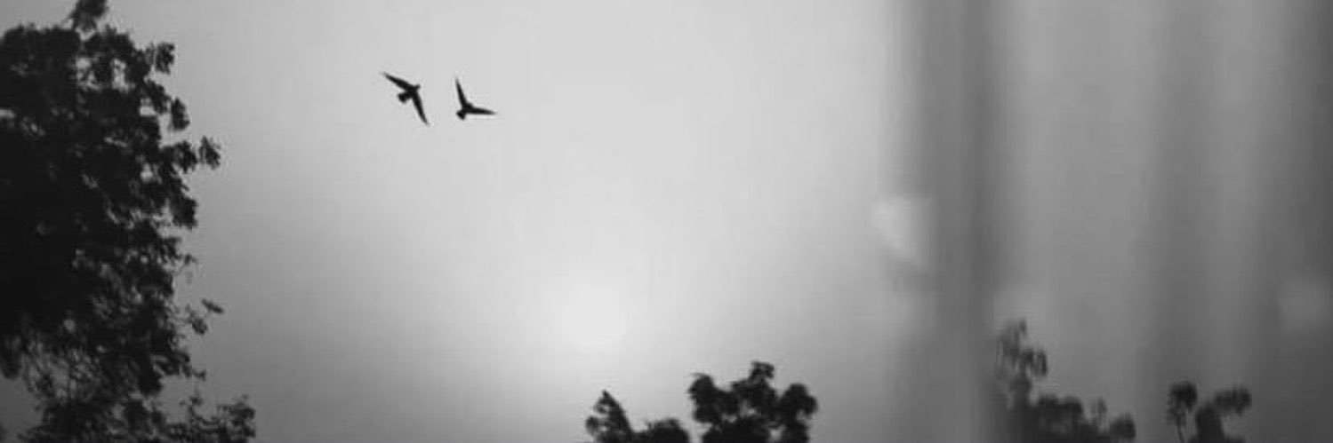 Gece 💫's banner