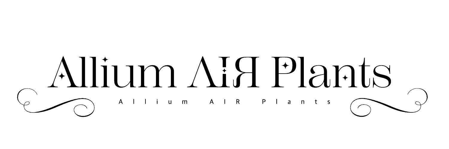 Allium AIR Plants's banner