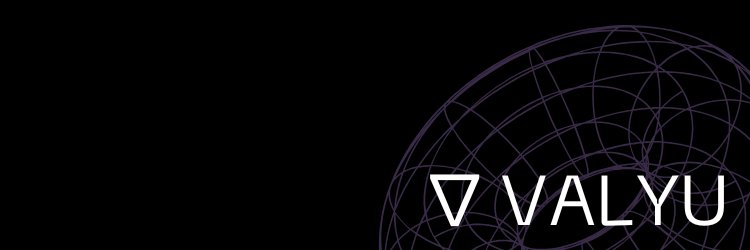 Valyu's banner