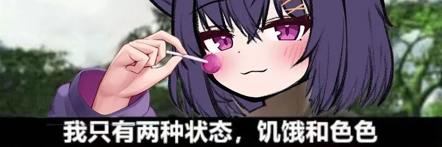 软粉's banner