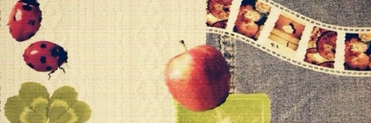 nona ⚘🧸's banner