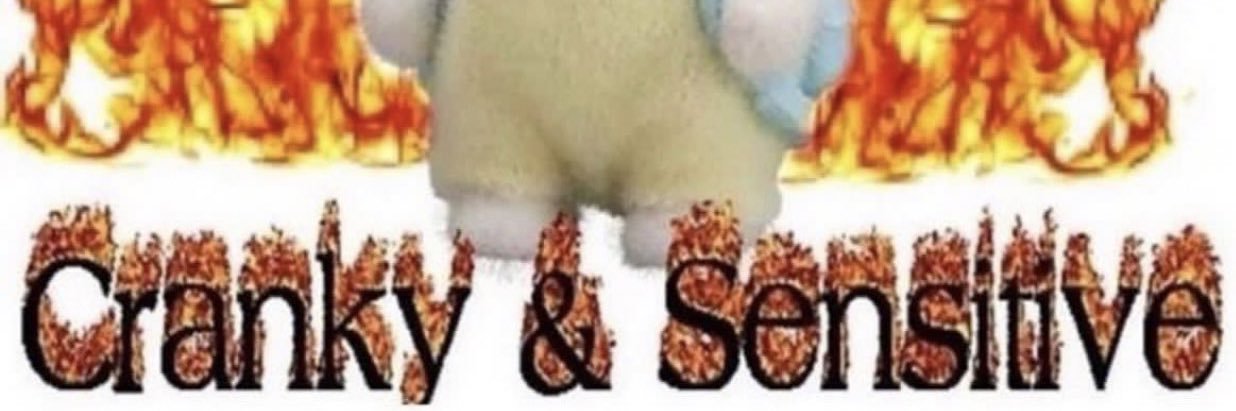 marcy's banner