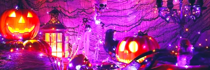 ✨ 🌛 PUMPKIN 🌜 ✨'s banner