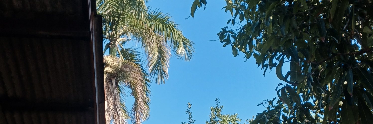 Kuupenkai's banner