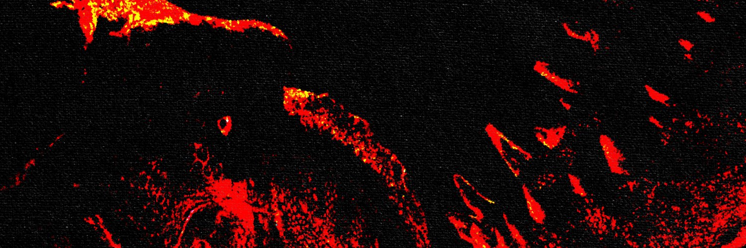 𝐦 𝐨 𝐧 𝐤 𝐨's banner
