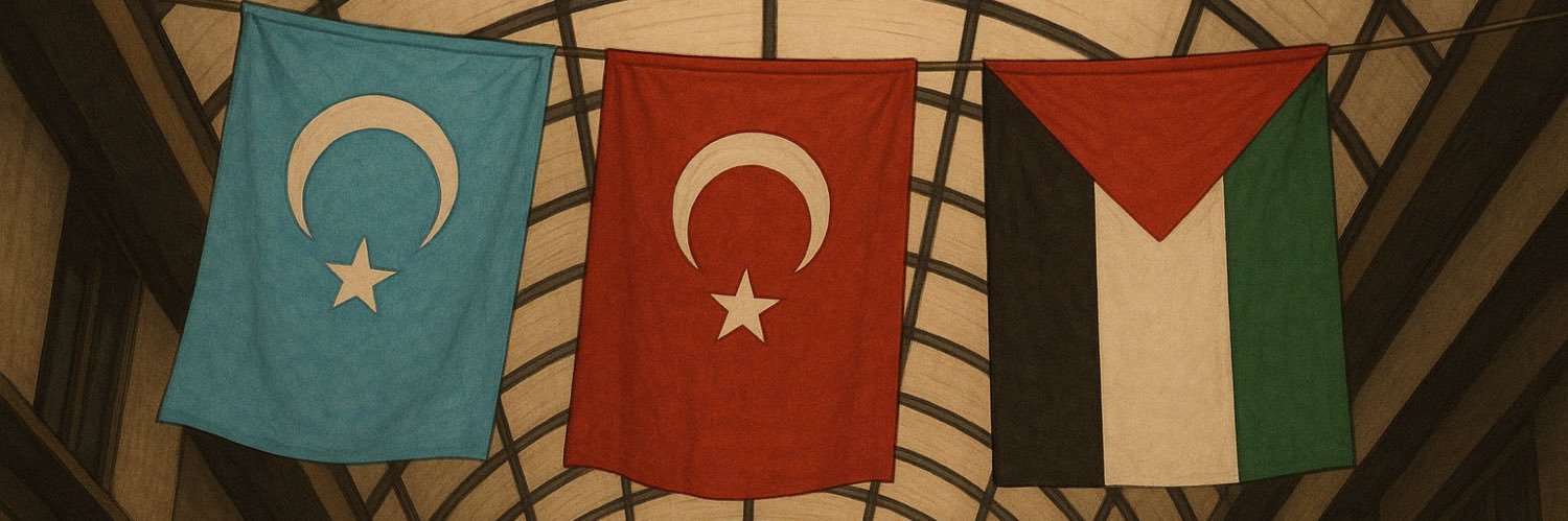 Müdafaa-i İslam Hareketi's banner