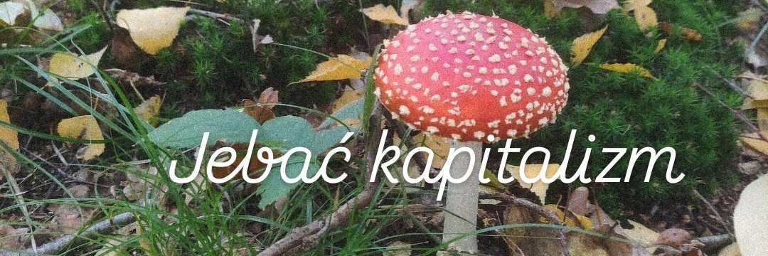 🍄 MirraWiśnia 🍄 🇵🇱🍉🌻's banner