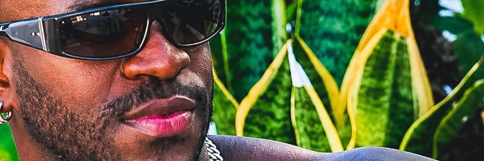 DVIBE's banner