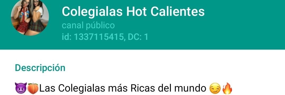 COLEGIALAS HOT's banner