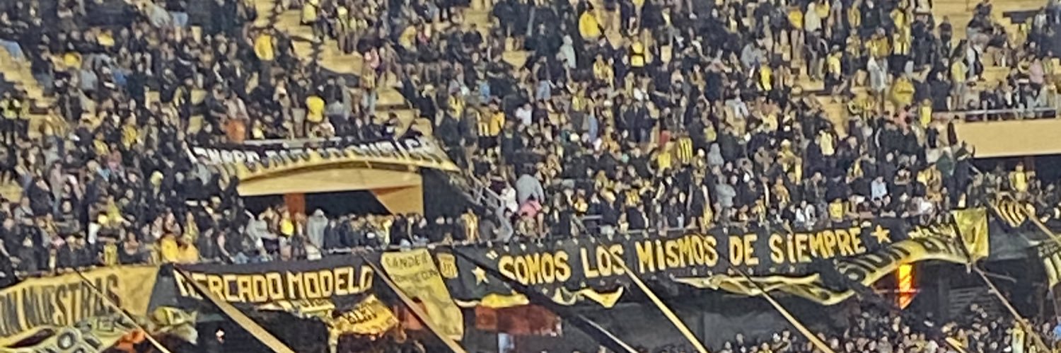 Canario's banner