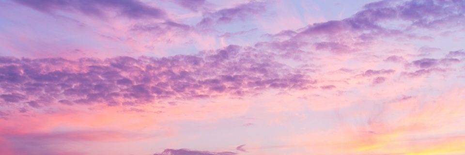 hornyblacki2 🇮🇹's banner