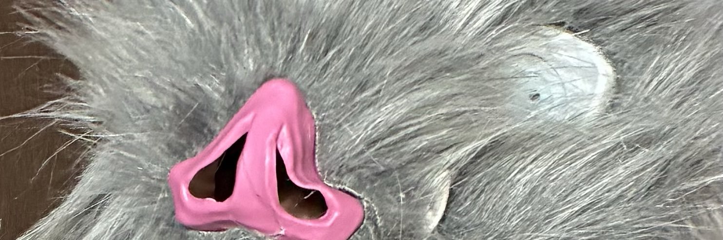 テインっす's banner