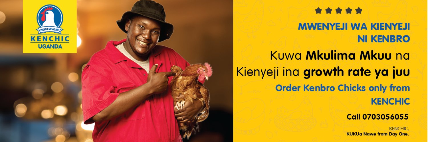 Kenchic Uganda Day-Old Chicks's banner