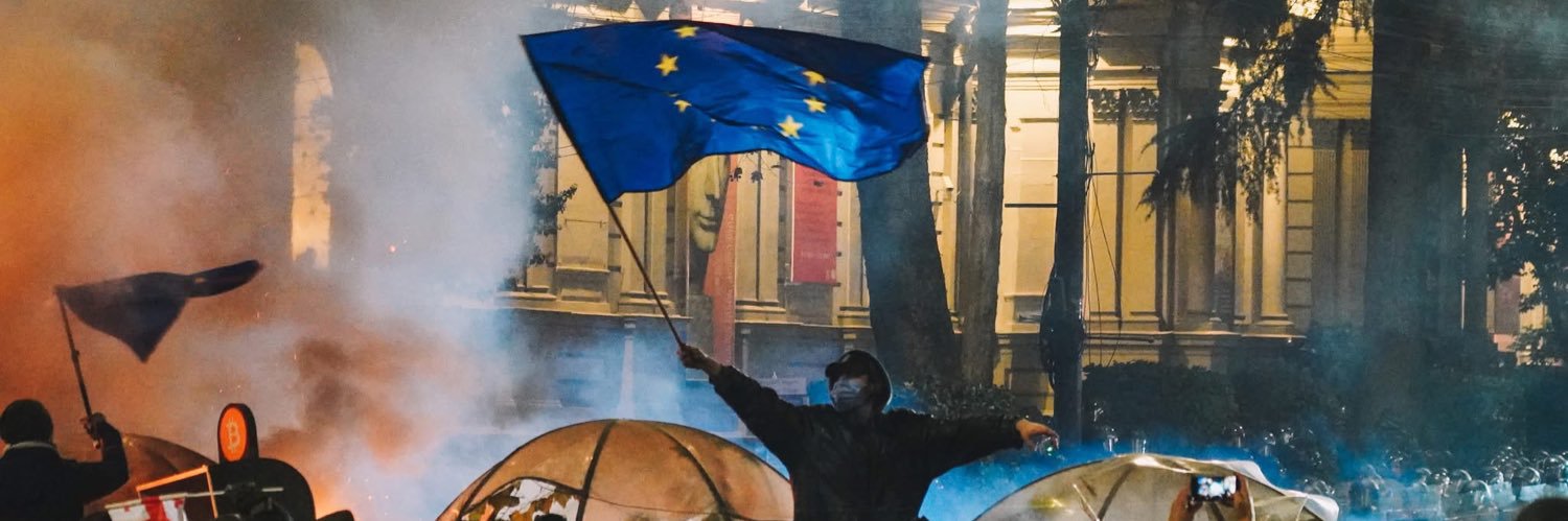 Nika Gurini's banner