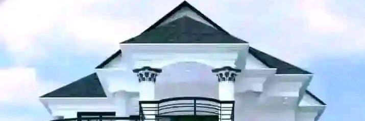 zakari ocholi's banner