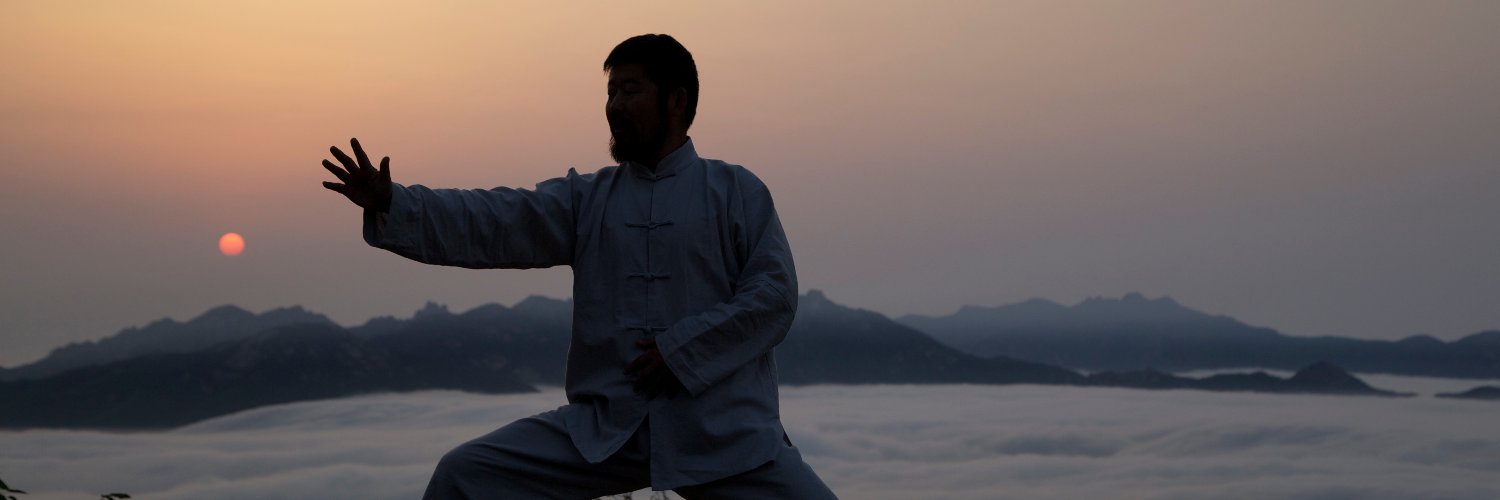 青山太极-与世界推手（互fo 必回）'s banner