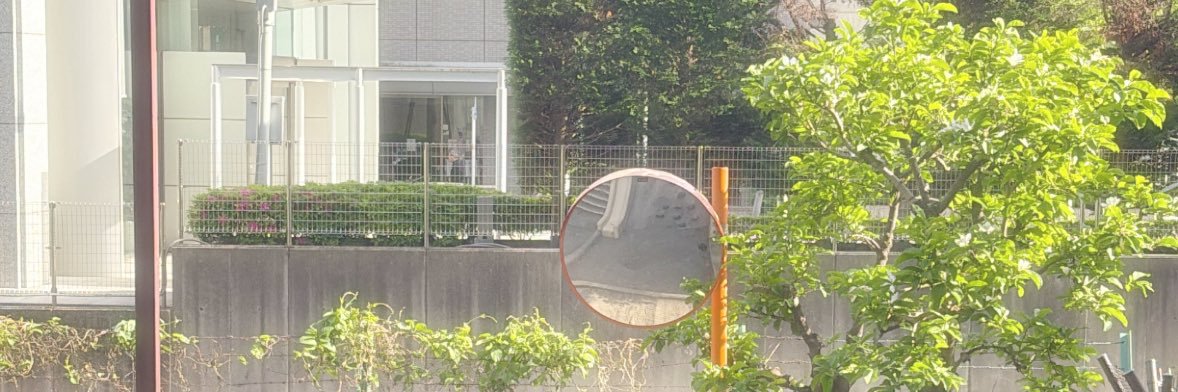せりにゃん's banner
