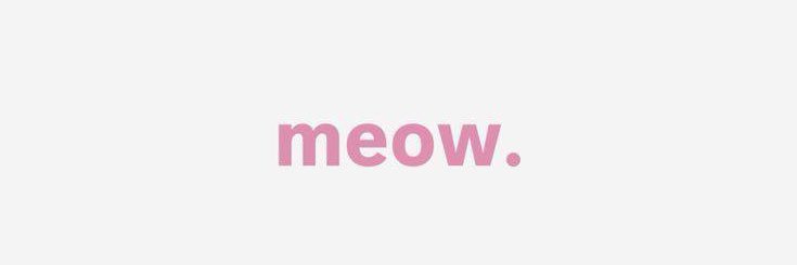 𝕂𝔸𝕋𝕀𝔼🐾's banner