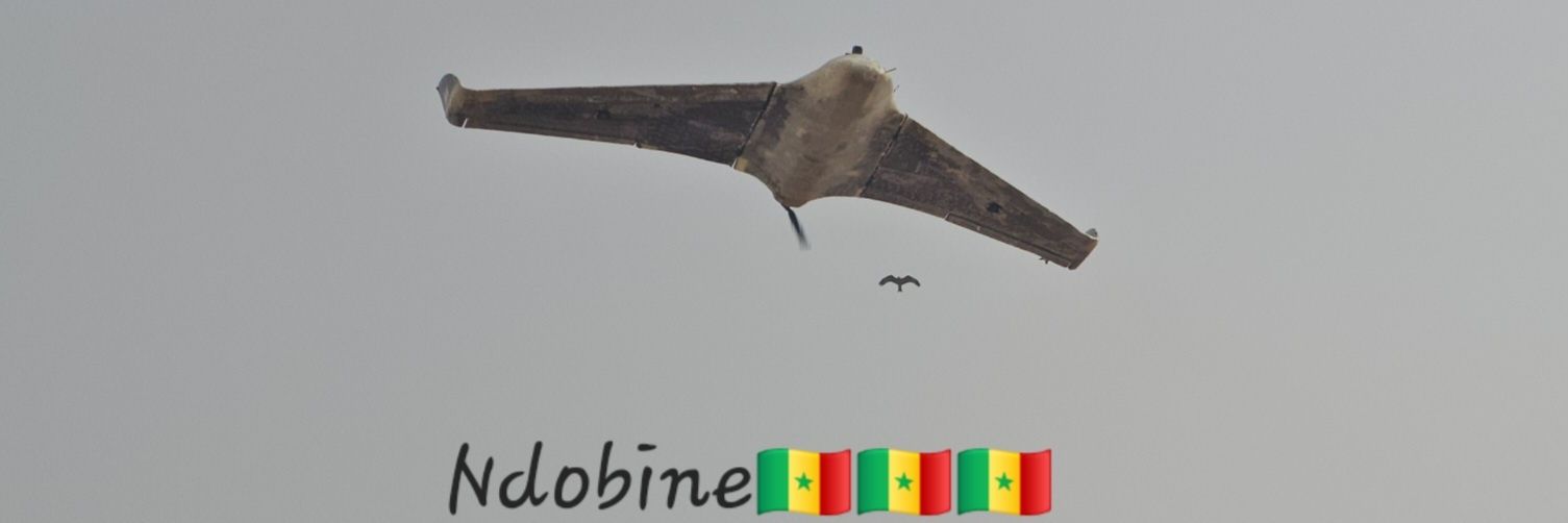 Mouhamadou Gueye's banner