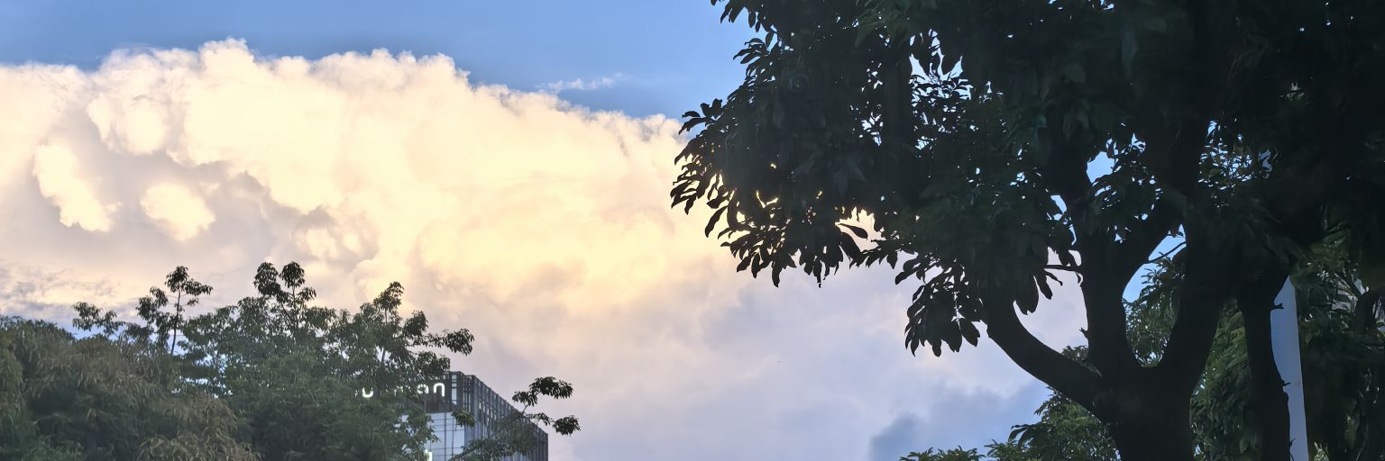 呆头鹅二号's banner