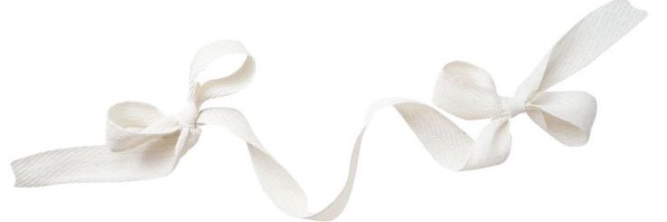 haley's banner