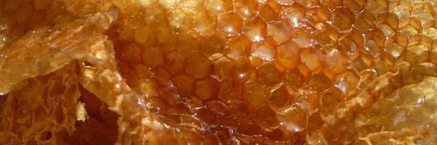 PŪNGAO ⚡️🍯's banner