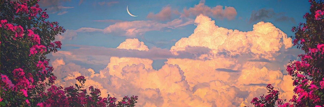 Marceline Moon's banner