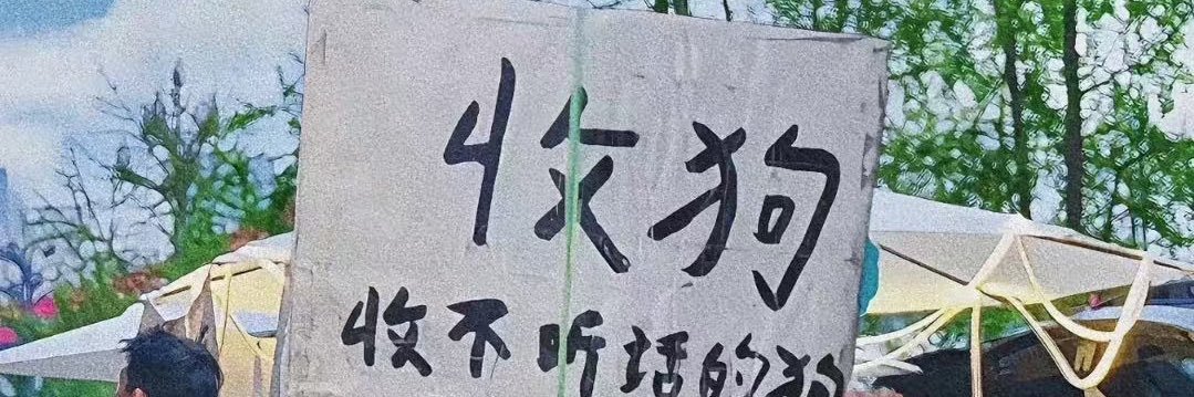 __'s banner