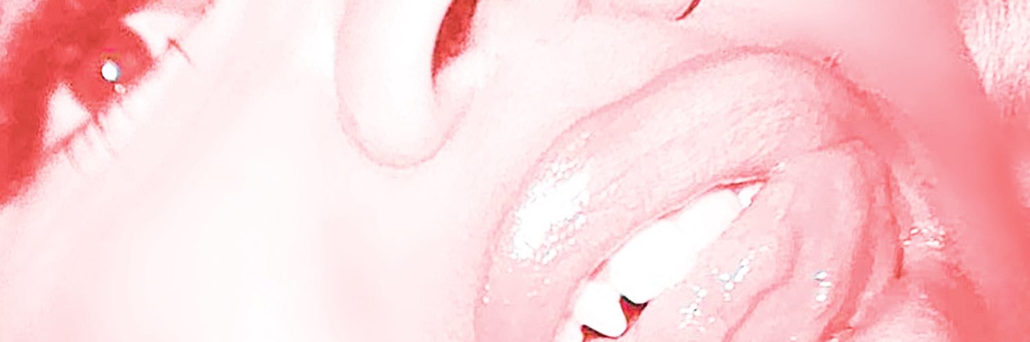 anne's banner