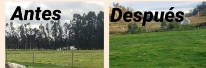 Elkin Isaza's banner