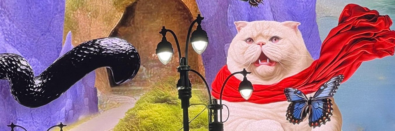 pom pom's banner