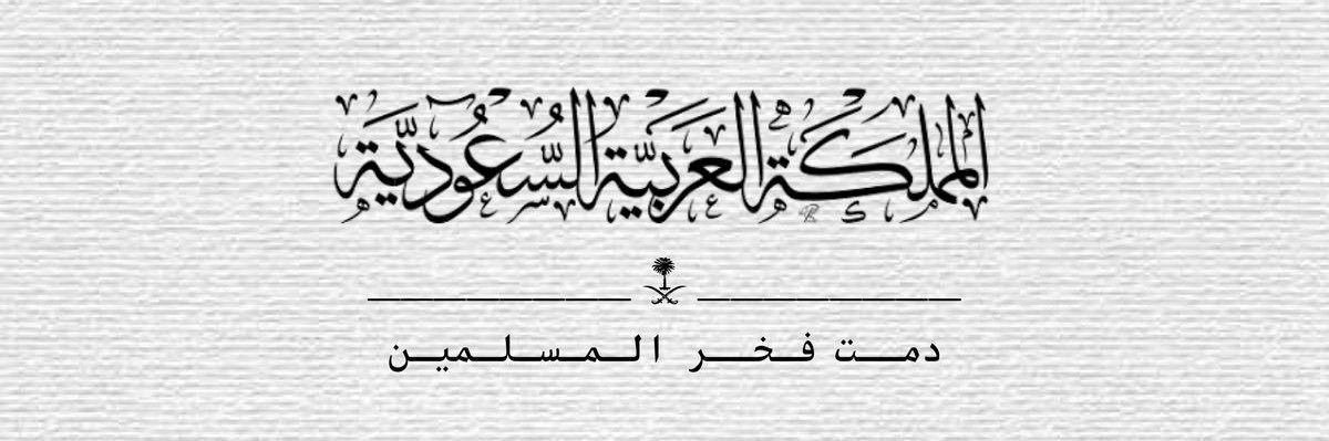 🇸🇦 Albani's banner