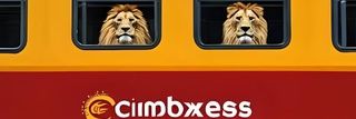 CimbomXpress's banner