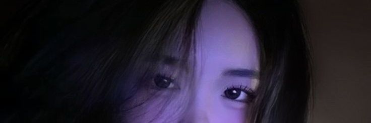 vy's banner