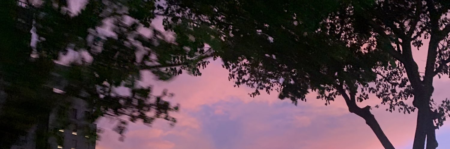 Princess NiJae's banner