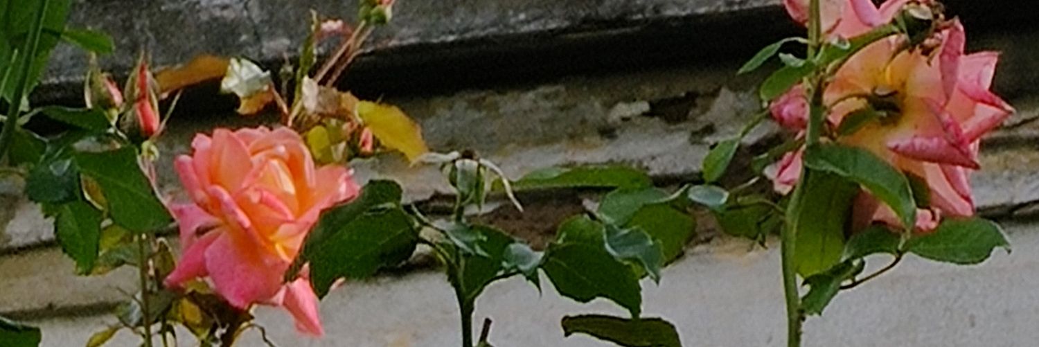 Dystopia's banner